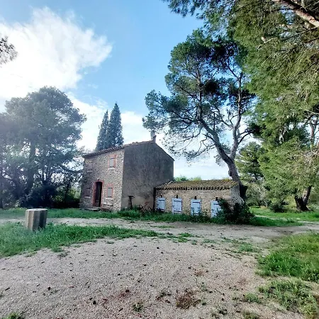 Mazet Du Chateau Joyeux De Violet Pépieux