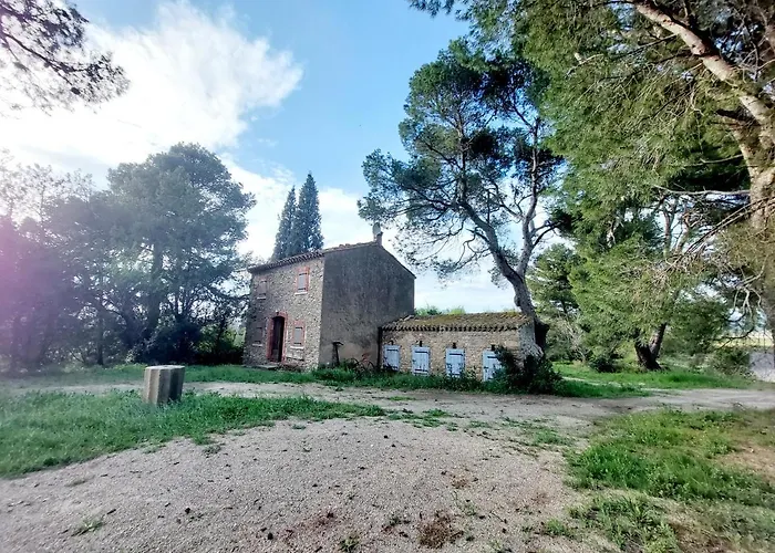 Mazet Du Chateau Joyeux De Violet Pépieux
